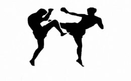 Kickboxing: Sjajan uspjeh vrgorskih boraca